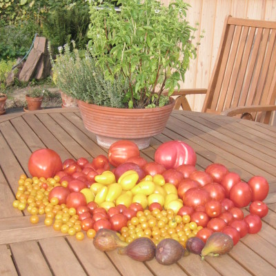 Tagesernte Garten (1)