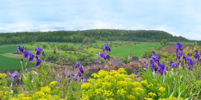 Landschaft Illingen