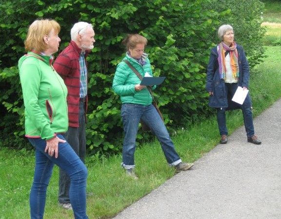 Grüne.9.6.20.IMG_5104
